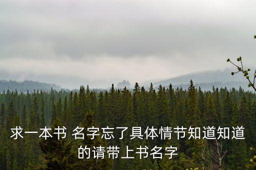 求一本書 名字忘了具體情節(jié)知道知道的請帶上書名字
