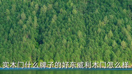實(shí)木門什么牌子的好東威利木門怎么樣