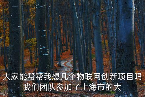 大家能幫幫我想幾個物聯網創新項目嗎我們團隊參加了上海市的大