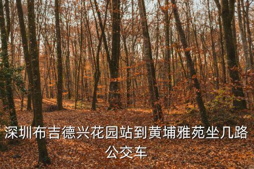 深圳布吉德興花園站到黃埔雅苑坐幾路公交車