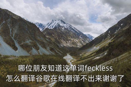 哪位朋友知道這單詞feckless怎么翻譯谷歌在線翻譯不出來謝謝了