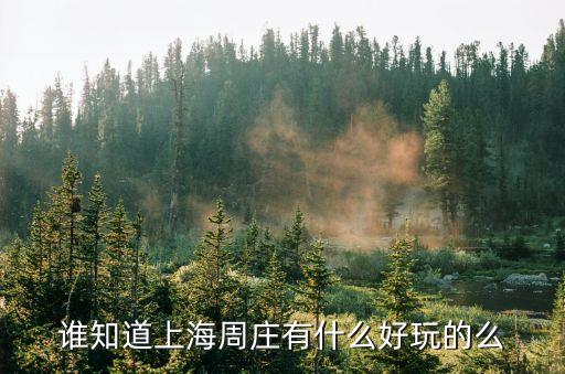 上海市烏鎮周莊有好玩的地方，誰知道上海周莊有什么好玩的么