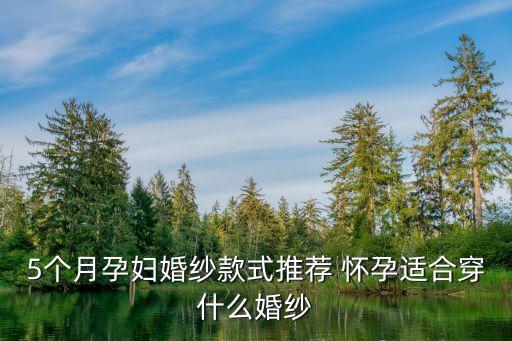 孕婦婚紗，5個月孕婦婚紗款式推薦 懷孕適合穿什么婚紗