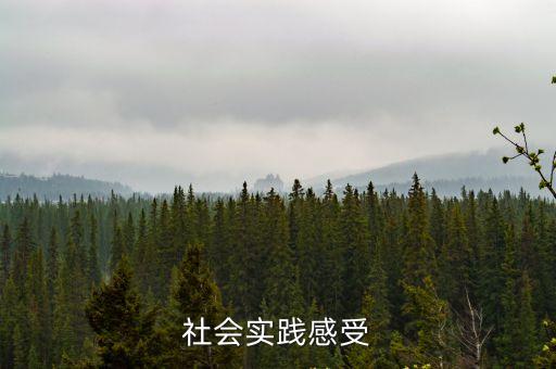 社會(huì)實(shí)踐感受