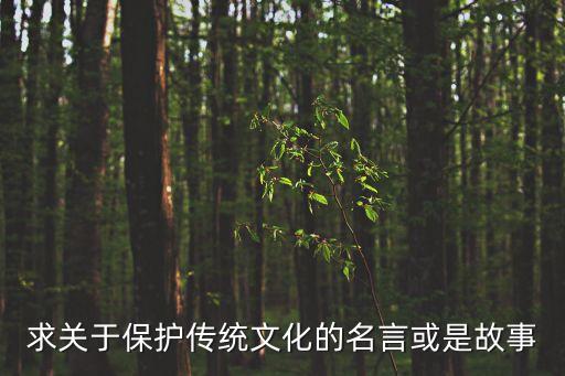 求關(guān)于保護傳統(tǒng)文化的名言或是故事