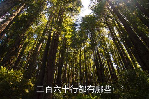三百六十行都有哪些