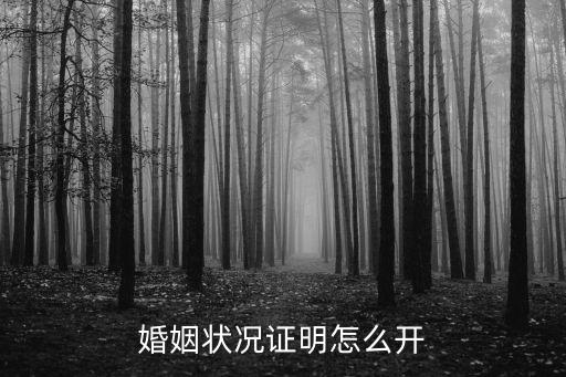 上海市婚姻狀況證明在哪里開，婚姻狀況證明在哪里開