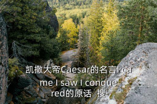凱撒大帝Caesar的名言I came I saw I conquered的原話  搜