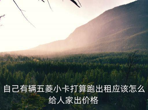 自己有輛五菱小卡打算跑出租應該怎么給人家出價格