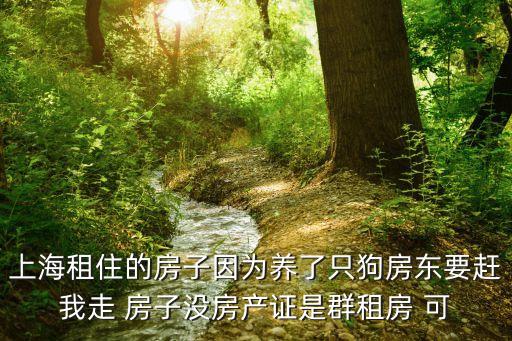 上海市不合法群租房能，上海租住的房子因為養了只狗房東要趕我走 房子沒房產證是群租房 可