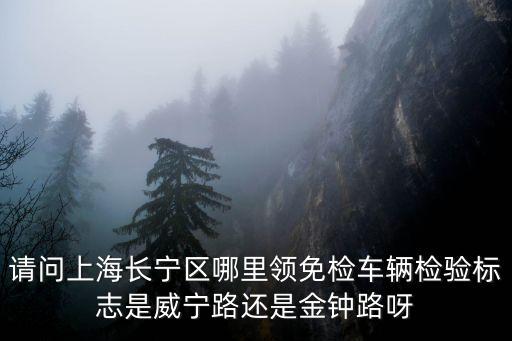 上海市車輛檢驗標志在哪里，請問上海長寧區哪里領免檢車輛檢驗標志是威寧路還是金鐘路呀