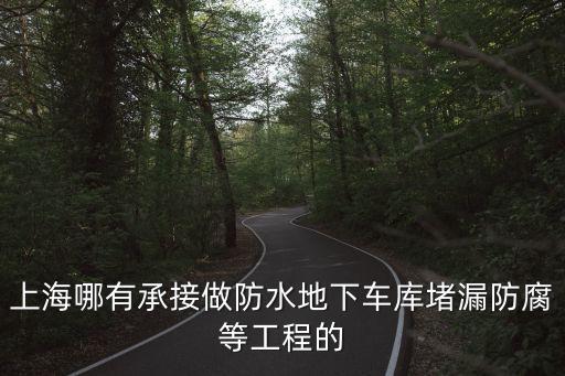 上海市室外停車場工程，上海哪有承接做防水地下車庫堵漏防腐等工程的