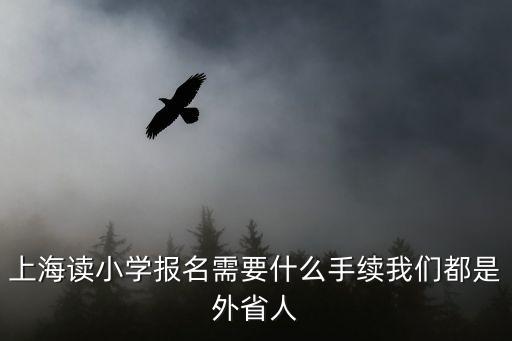 上海讀小學報名需要什么手續我們都是外省人