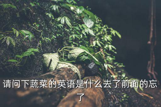 蔬菜的單詞，誰知道關于蔬菜的英語單詞