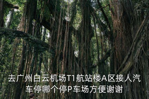 去廣州白云機場T1航站樓A區(qū)接人汽車停哪個停P車場方便謝謝