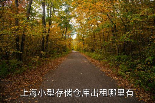 上海市迷你小倉庫出租，上海小型存儲倉庫出租哪里有