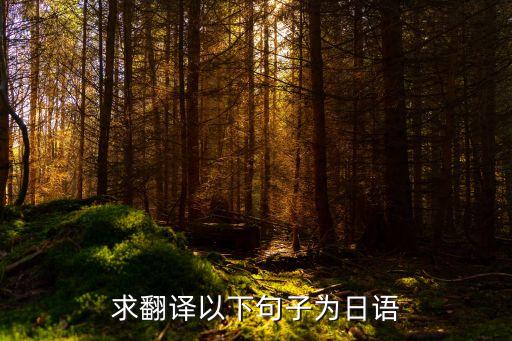求翻譯以下句子為日語