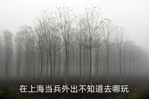 在上海當兵外出不知道去哪玩