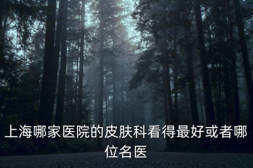 上海哪家醫(yī)院的皮膚科看得最好或者哪位名醫(yī)