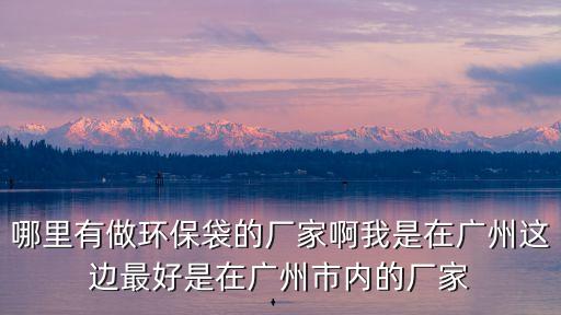 哪里有做環保袋的廠家啊我是在廣州這邊最好是在廣州市內的廠家