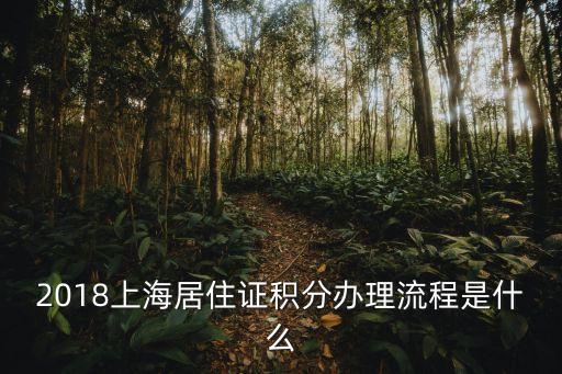 2018上海居住證積分辦理流程是什么