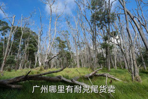廣州尾貨運動鞋倉庫，廣州哪里有耐克尾貨賣