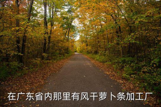 廣州凍干胡蘿卜絲，在廣東省內那里有風干蘿卜條加工廠
