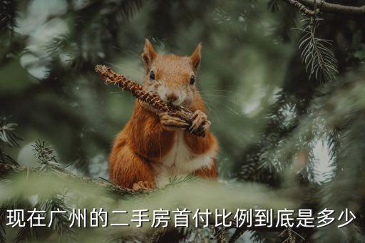 廣州二手駿逸首付，廣州購(gòu)二手房首付多少