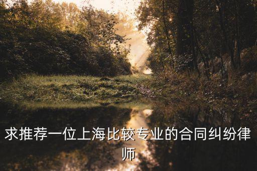 上海市專業的合同糾紛律師事務所，上海最好的合同律師