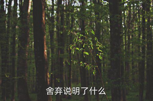 舍棄說明了什么
