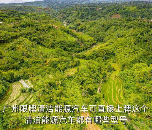 廣州節(jié)能藍(lán)牌名錄，廣東的節(jié)能和環(huán)保企業(yè)有哪些呢