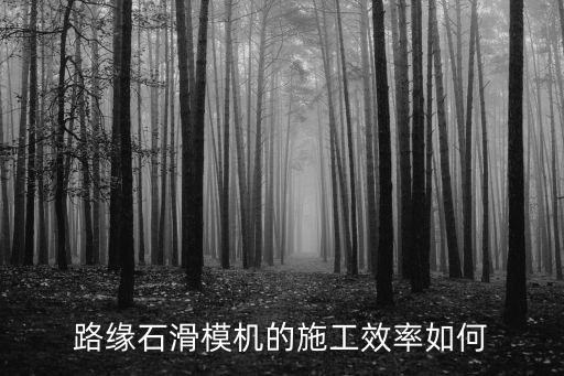 廣州全自動路緣石滑模機，路沿石滑模機