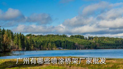 廣州有哪些噴涂橋架廠家批發(fā)