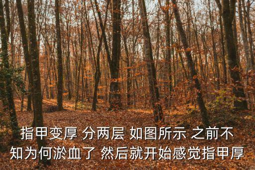 指甲變厚 分兩層 如圖所示 之前不知為何淤血了 然后就開始感覺指甲厚
