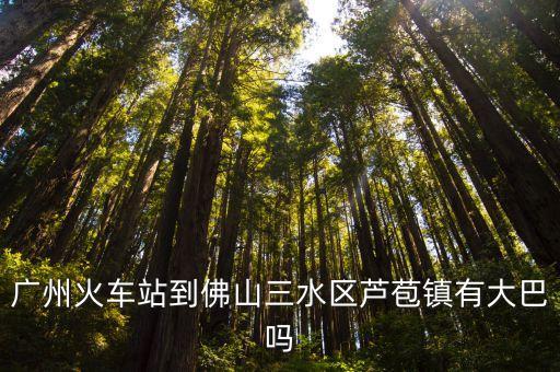 廣州東站到蘆苞汽車站，廣州火車站到佛山三水區蘆苞鎮有大巴嗎