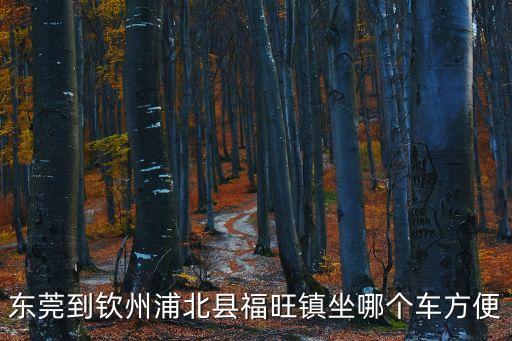 東莞到欽州浦北縣福旺鎮(zhèn)坐哪個(gè)車方便