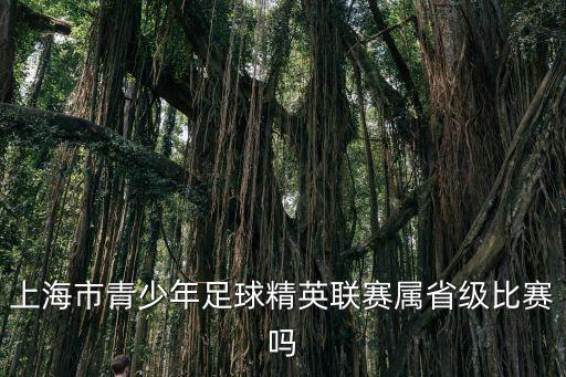 上海市青少年足球精英聯(lián)賽屬省級(jí)比賽嗎