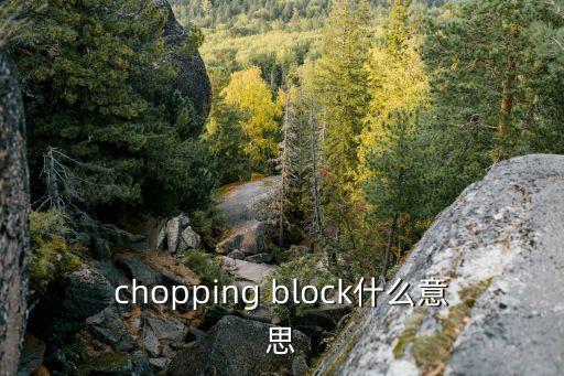 chopping，砍柴的英文