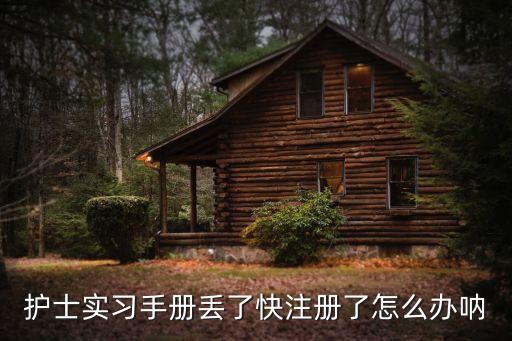 護士實習手冊，護士實習手冊丟了快注冊了怎么辦吶
