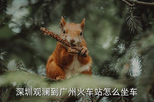 深圳觀瀾到廣州火車站怎么坐車