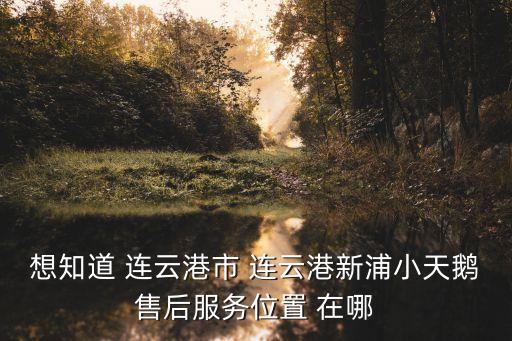 想知道 連云港市 連云港新浦小天鵝售后服務(wù)位置 在哪