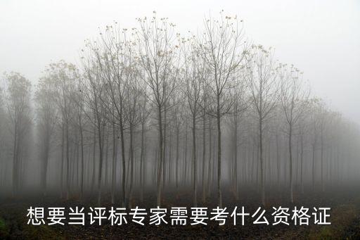 上海市評標資格證書有哪些，想要當評標專家需要考什么資格證