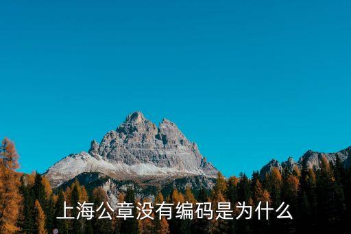 上海公章沒有編碼是為什么