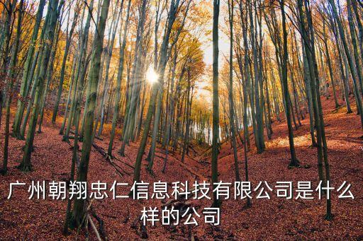 廣州朝翔忠仁信息科技有限公司是什么樣的公司