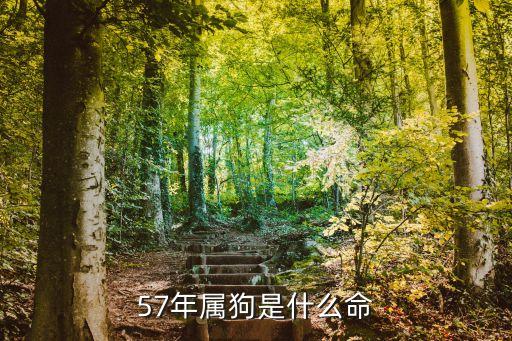 57年屬狗是什么命