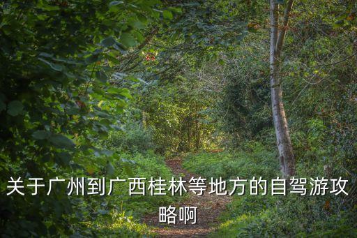 關于廣州到廣西桂林等地方的自駕游攻略啊