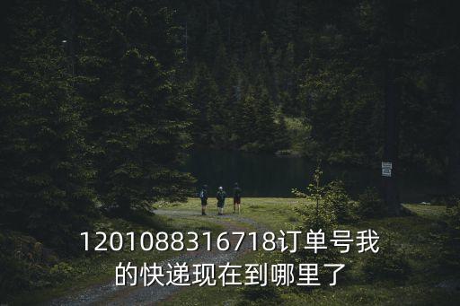 1201088316718訂單號我的快遞現(xiàn)在到哪里了