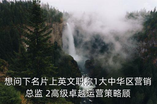 想問下名片上英文職稱1大中華區營銷總監 2高級卓越運營策略顧