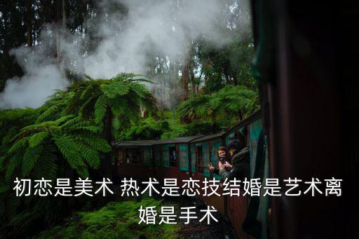 廣州藝美整形 李闖，初戀是美術 熱術是戀技結婚是藝術離婚是手術