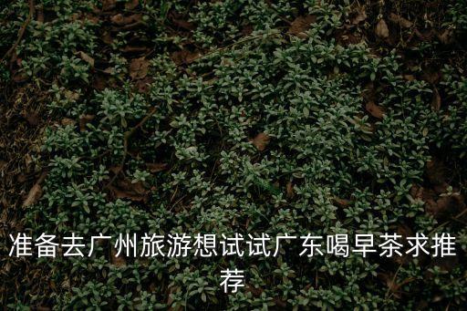 準備去廣州旅游想試試廣東喝早茶求推薦